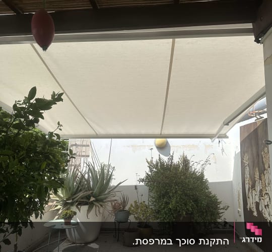 מרפסת עם צלון לבן וצמחים בעציצים שונים